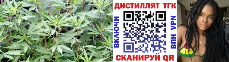 Дистиллят ТГК вейп Балаково
